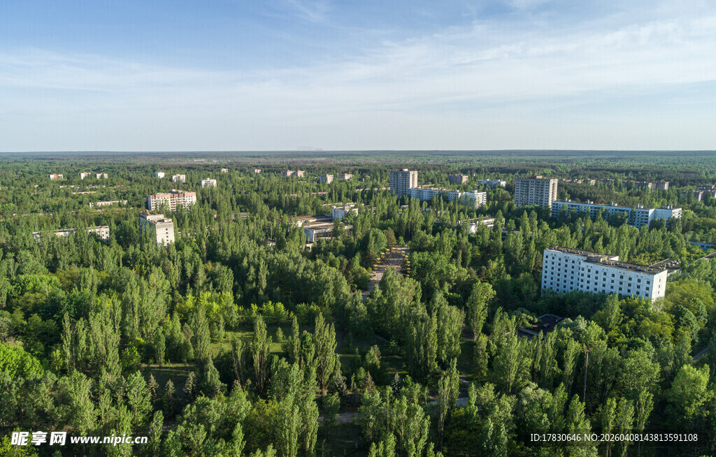 俯瞰葱郁森林中的建筑