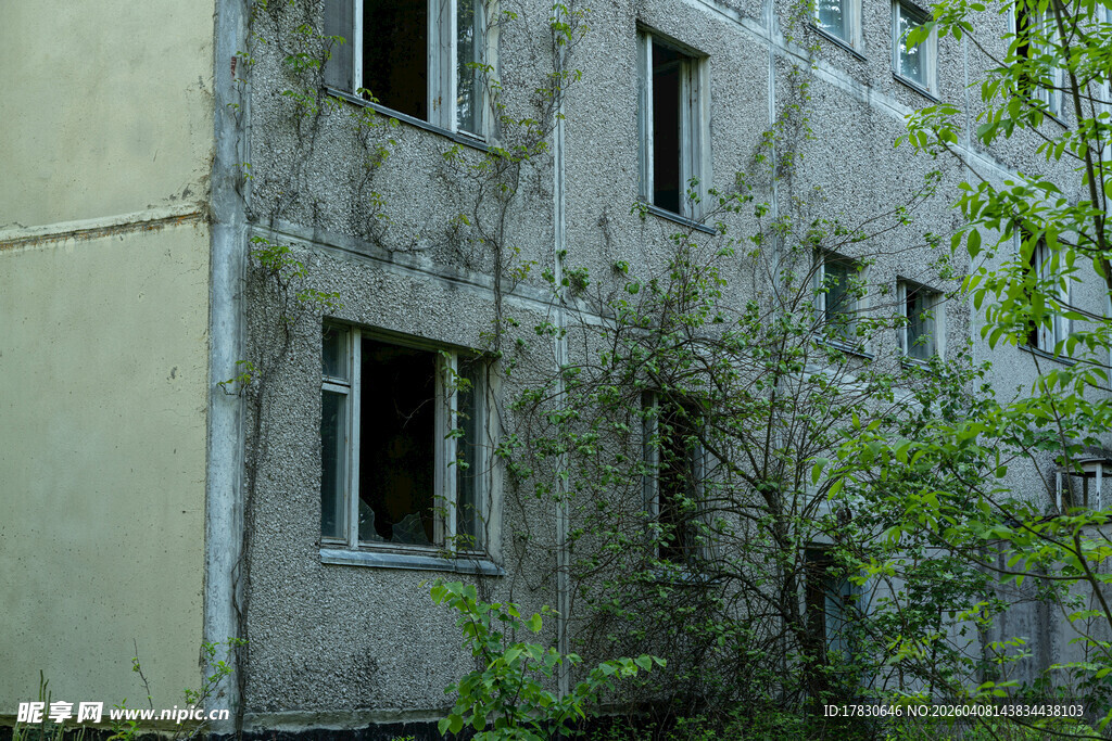 废弃楼房爬满绿植