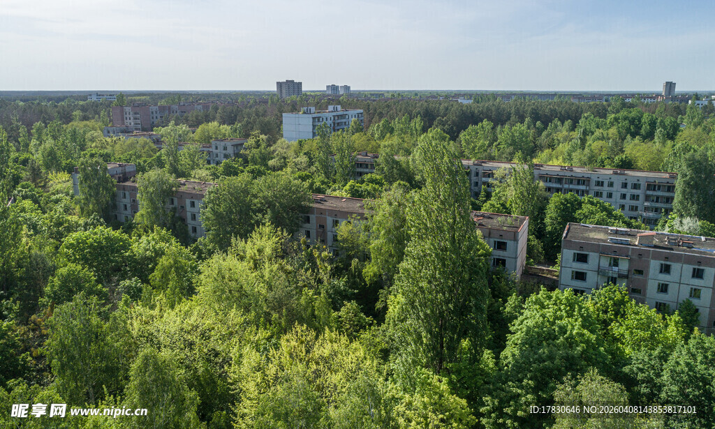 森林中的废弃建筑群