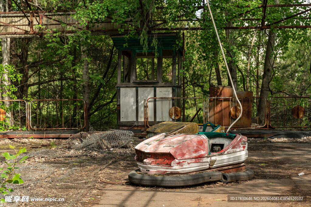 废弃林中的破旧碰碰车