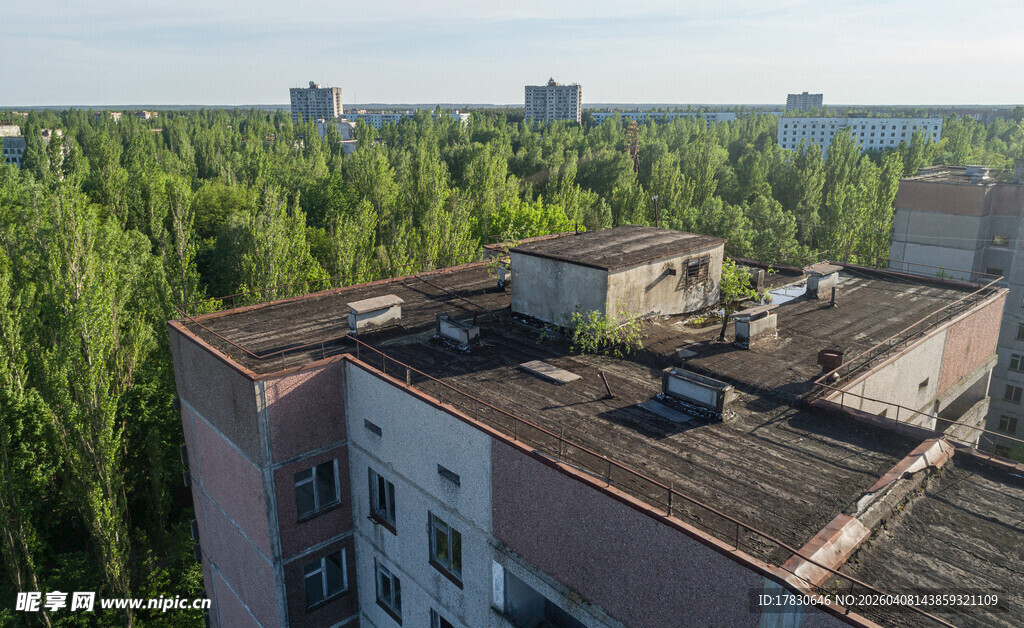 老旧楼房与周边葱郁树林