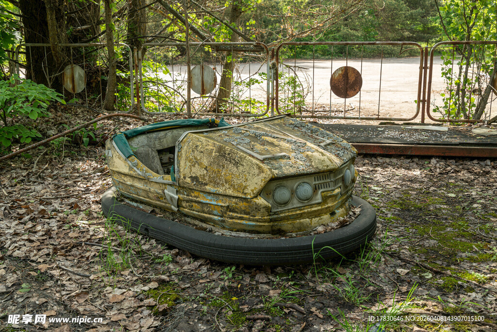 废弃森林中的老旧碰碰车