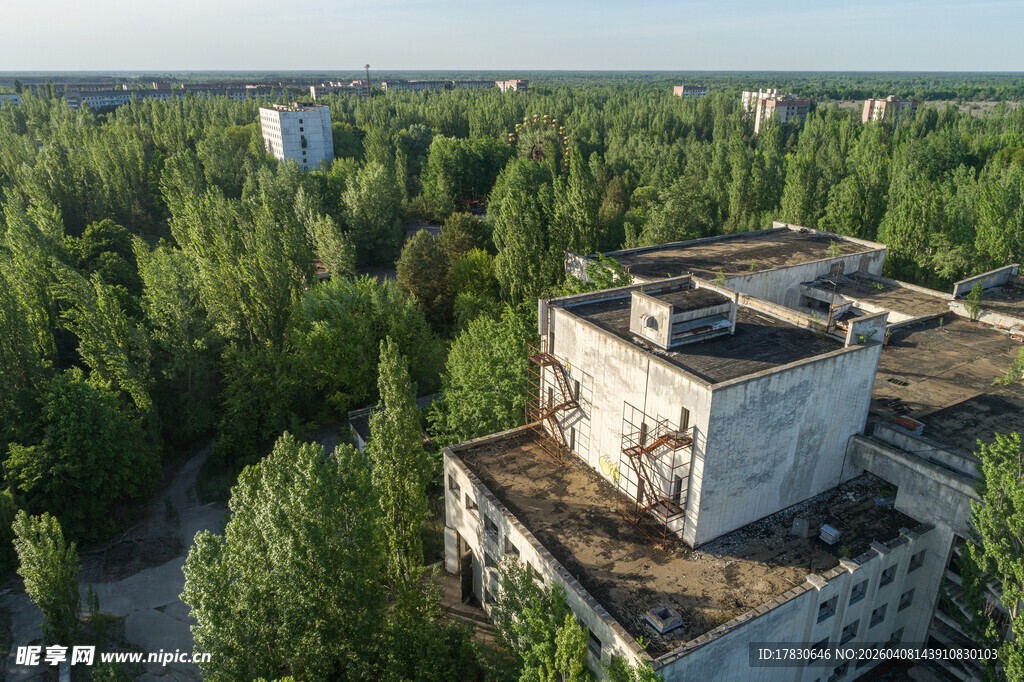 废弃建筑隐于葱郁森林中