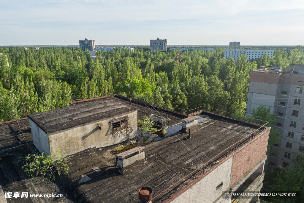 废弃楼房与葱郁树林景观