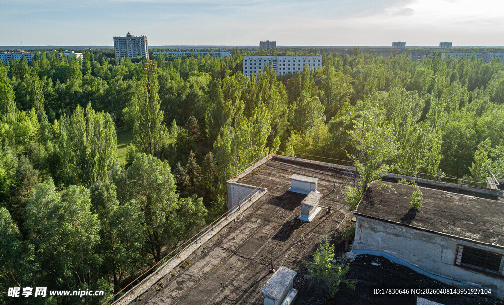 废弃建筑旁的茂密树林