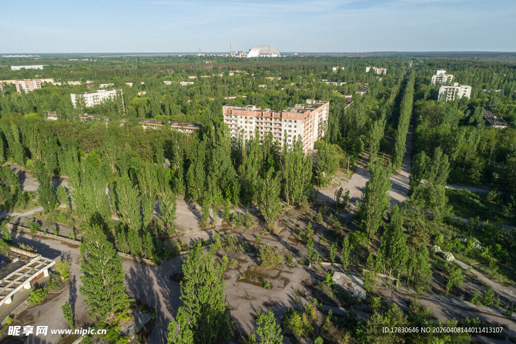 废弃城市中的葱郁树林