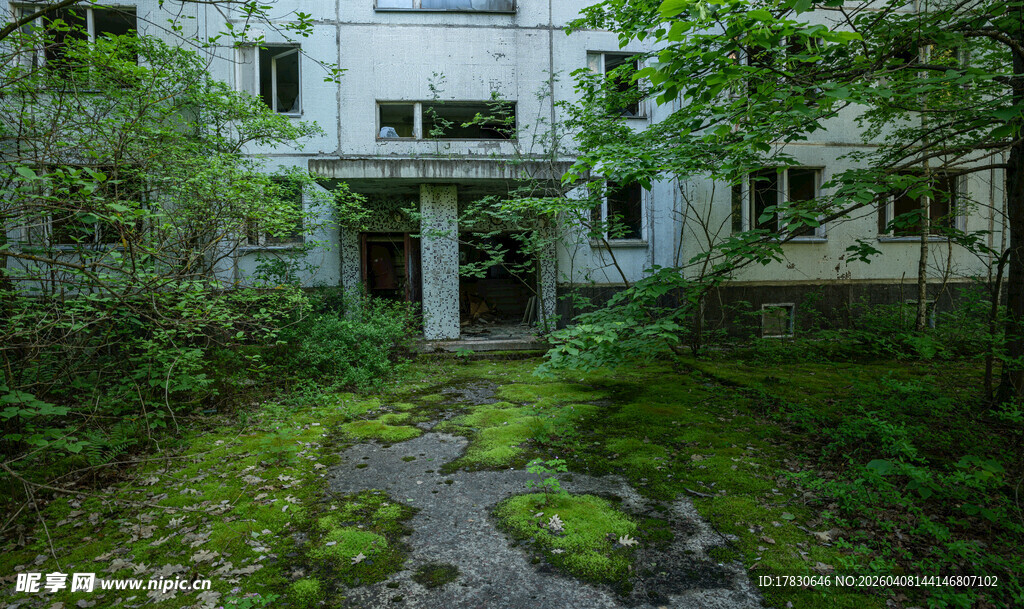 废弃房屋被绿植环绕
