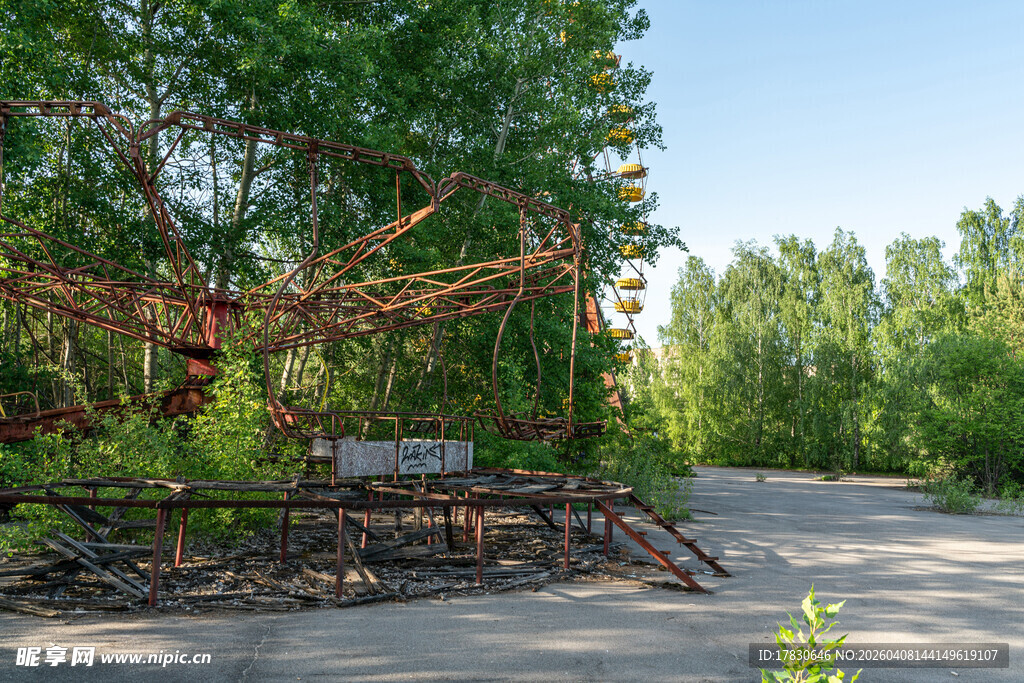 林间小道旁的自然景观