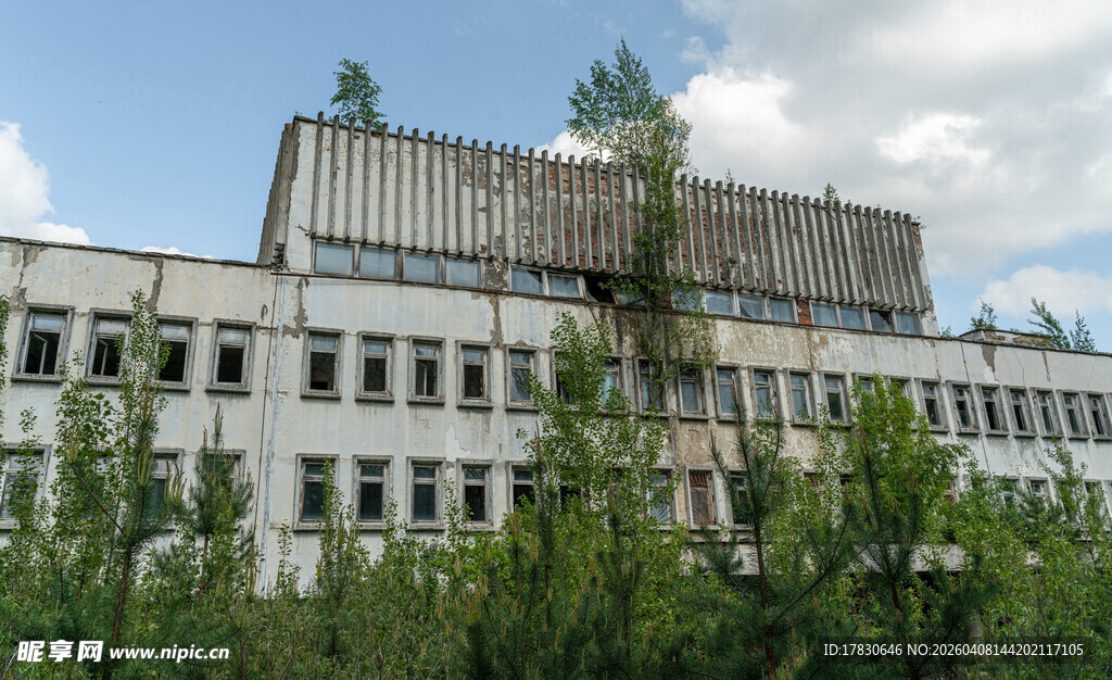 废弃建筑被绿植环绕