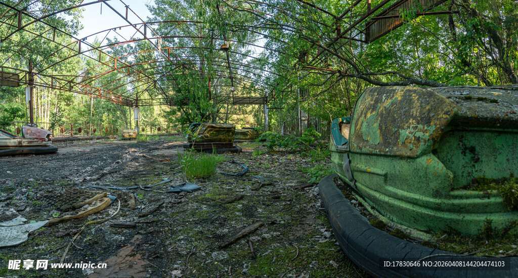 废弃林间的旧物遗迹