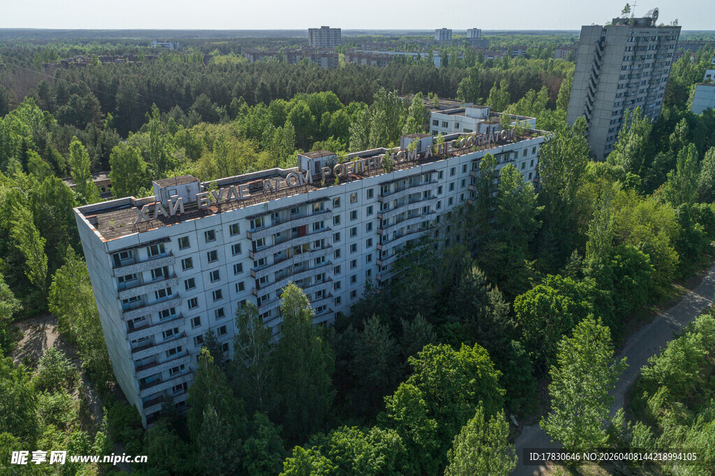 森林环绕的居民楼