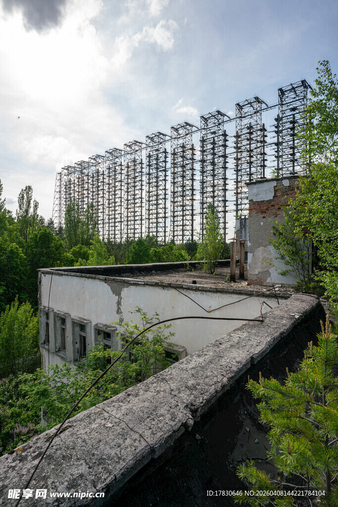 废弃工业建筑绿植环绕