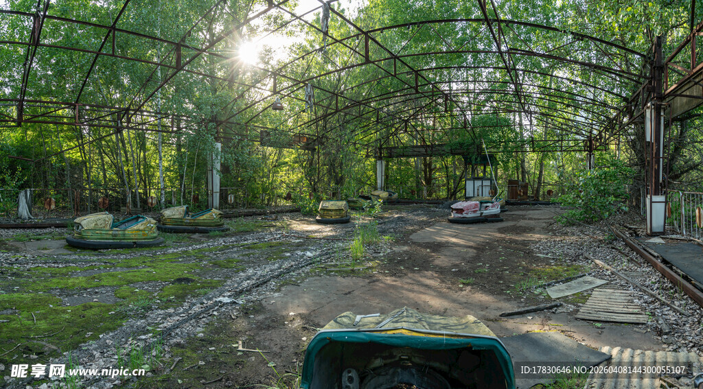 林间户外露营场景