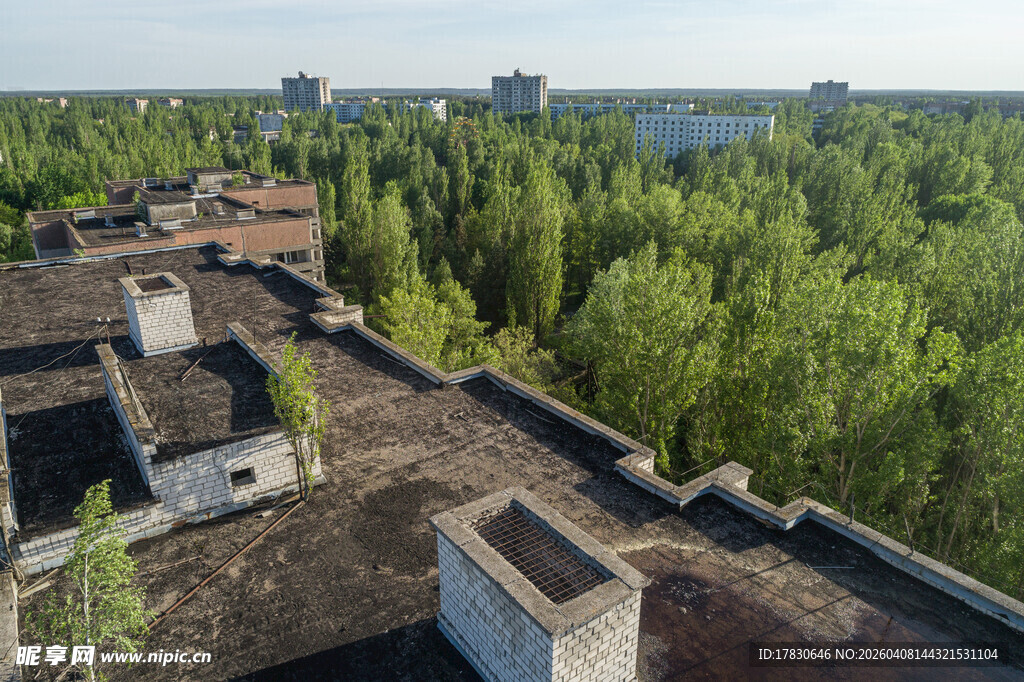 城市边缘的树林与老旧建筑