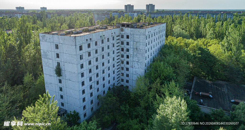 废弃楼房被绿植环绕