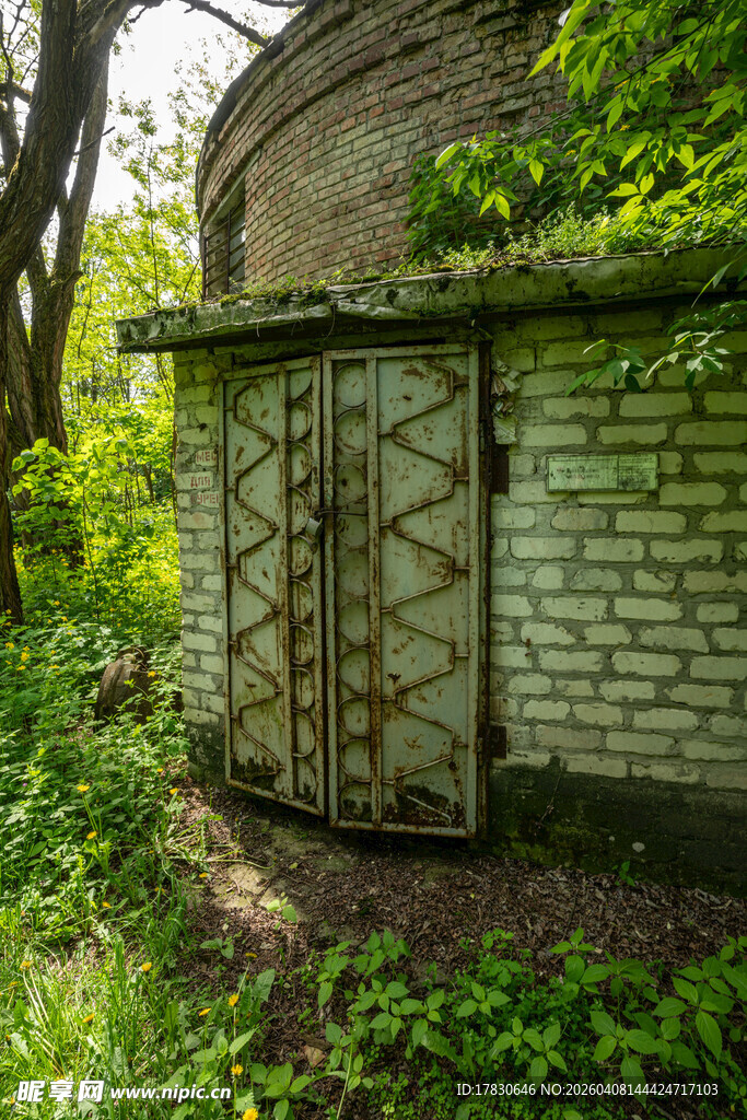林间废弃小屋的隐秘入口