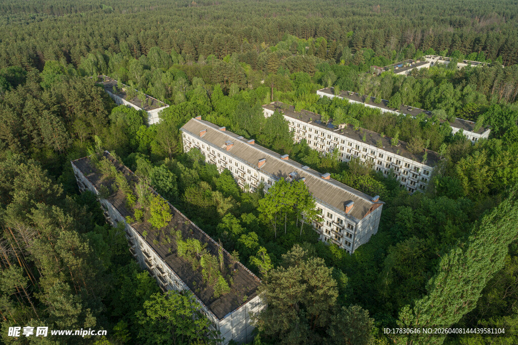 废弃建筑群隐于茂密森林