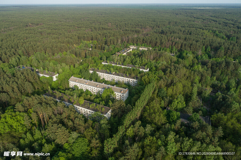 森林中的建筑群鸟瞰图