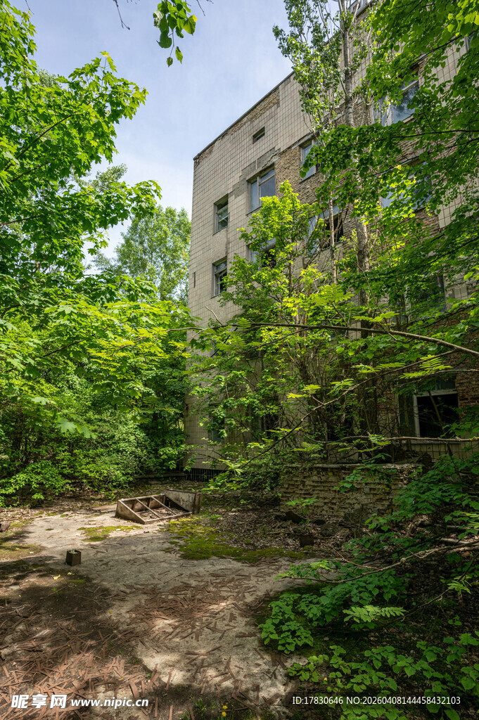废弃建筑旁繁茂绿植景象