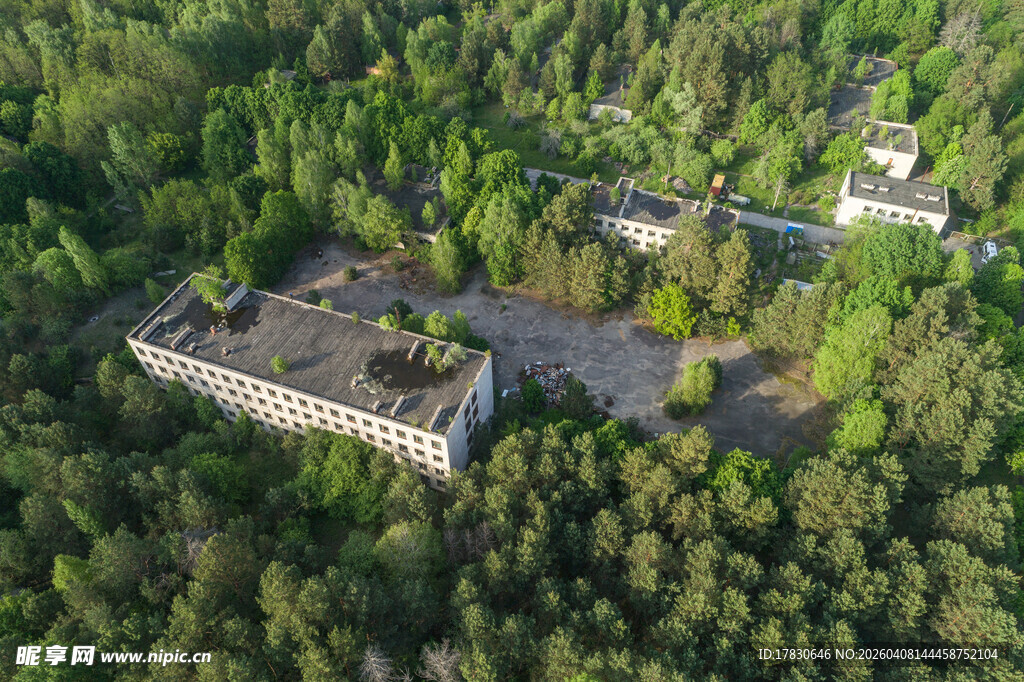 森林中的隐秘废弃建筑