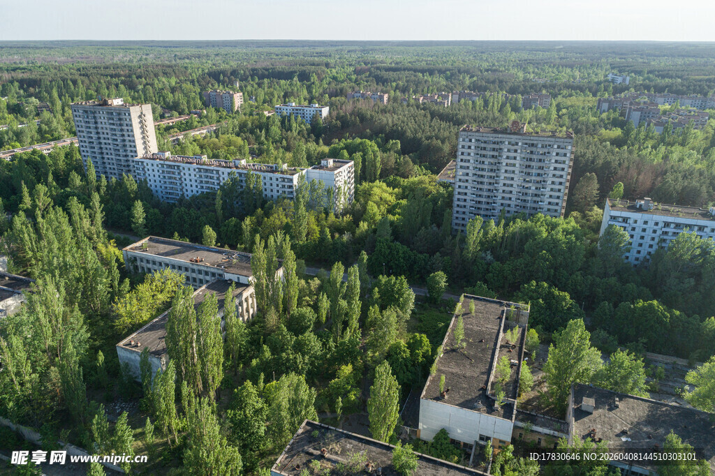 废弃城市中的绿植覆盖景象