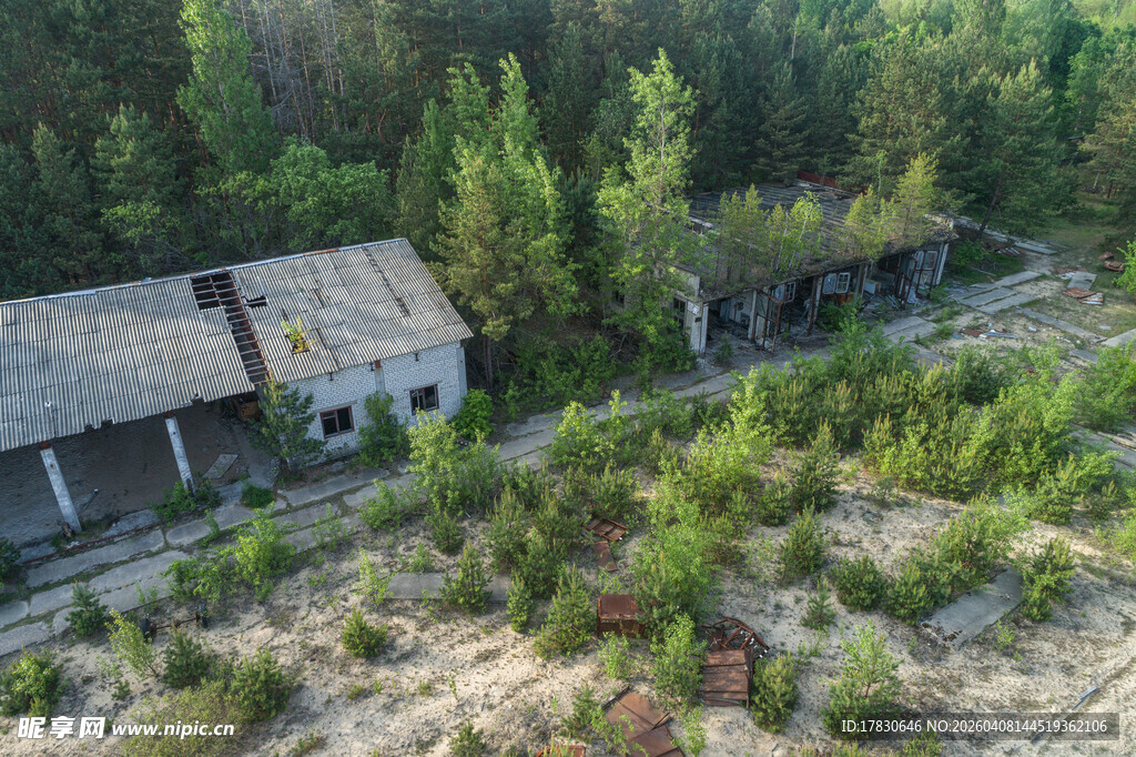 废弃林间小屋尽显沧桑