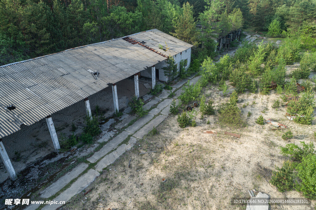 废弃厂房被绿植环绕