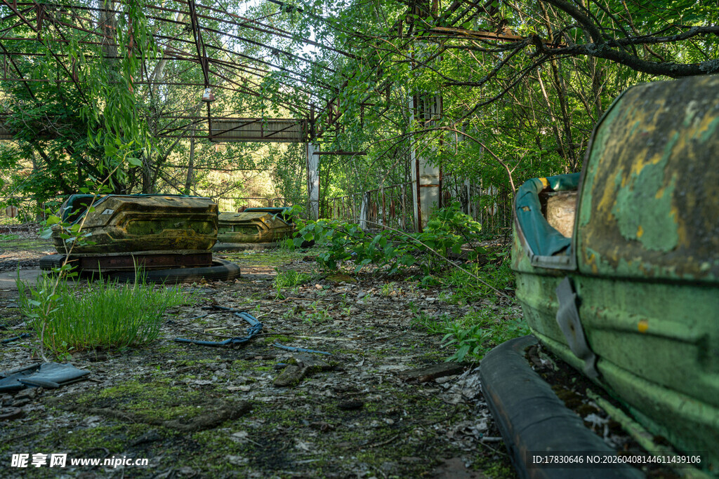 废弃机械藏身绿意丛林