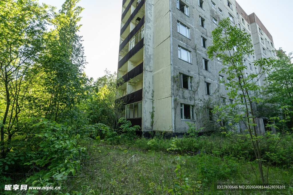 废弃楼房被绿植环绕