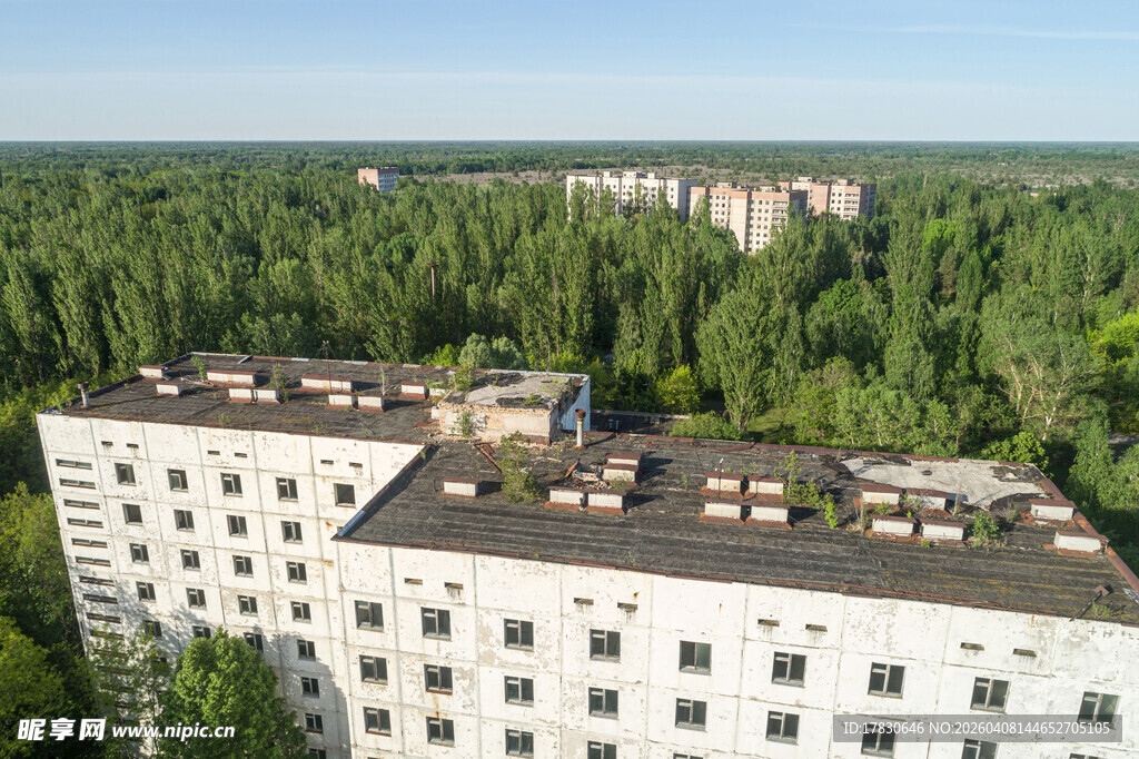 森林中的白色多层建筑