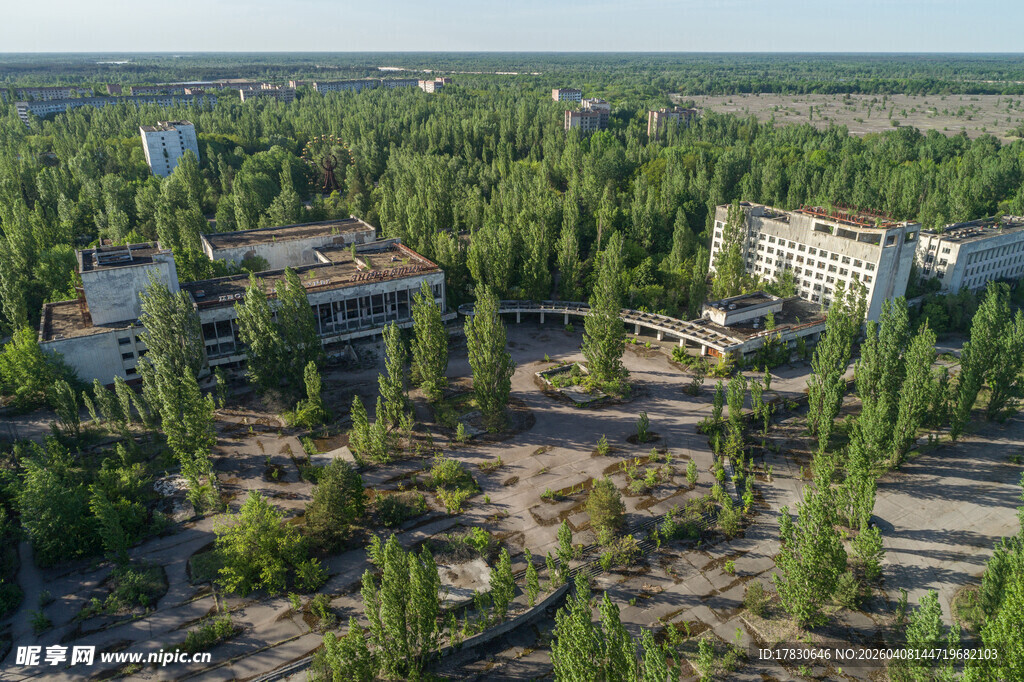 废弃建筑群中的茂密树林