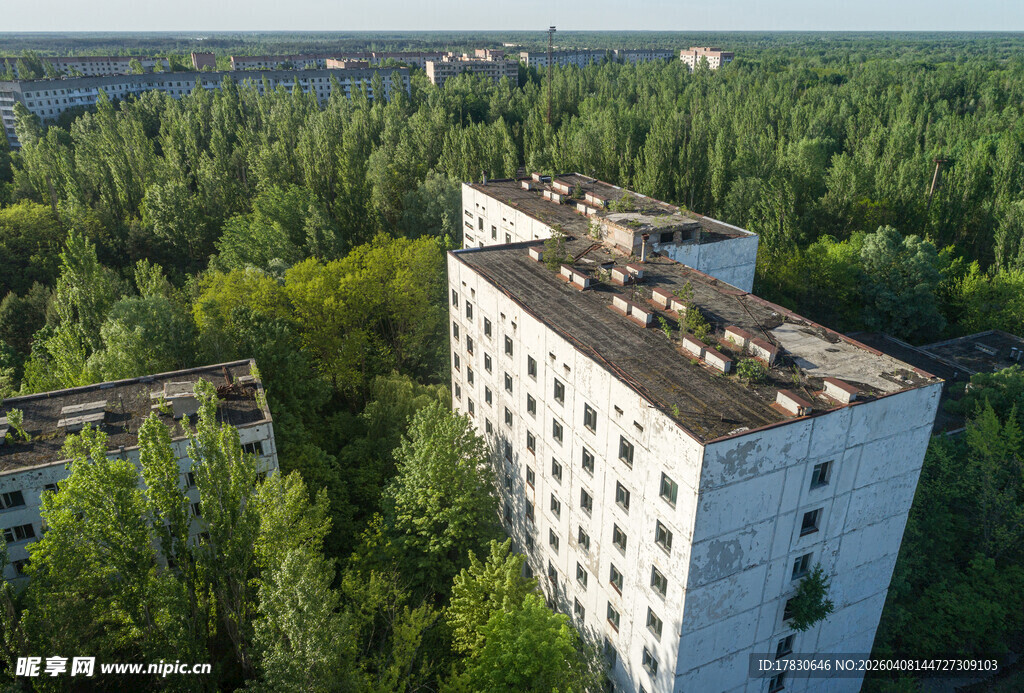 废弃高楼隐于葱郁树林中