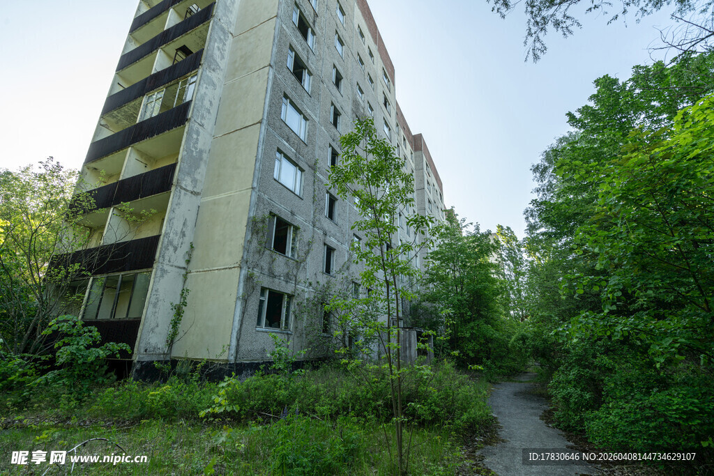 废弃楼房旁的绿植小径