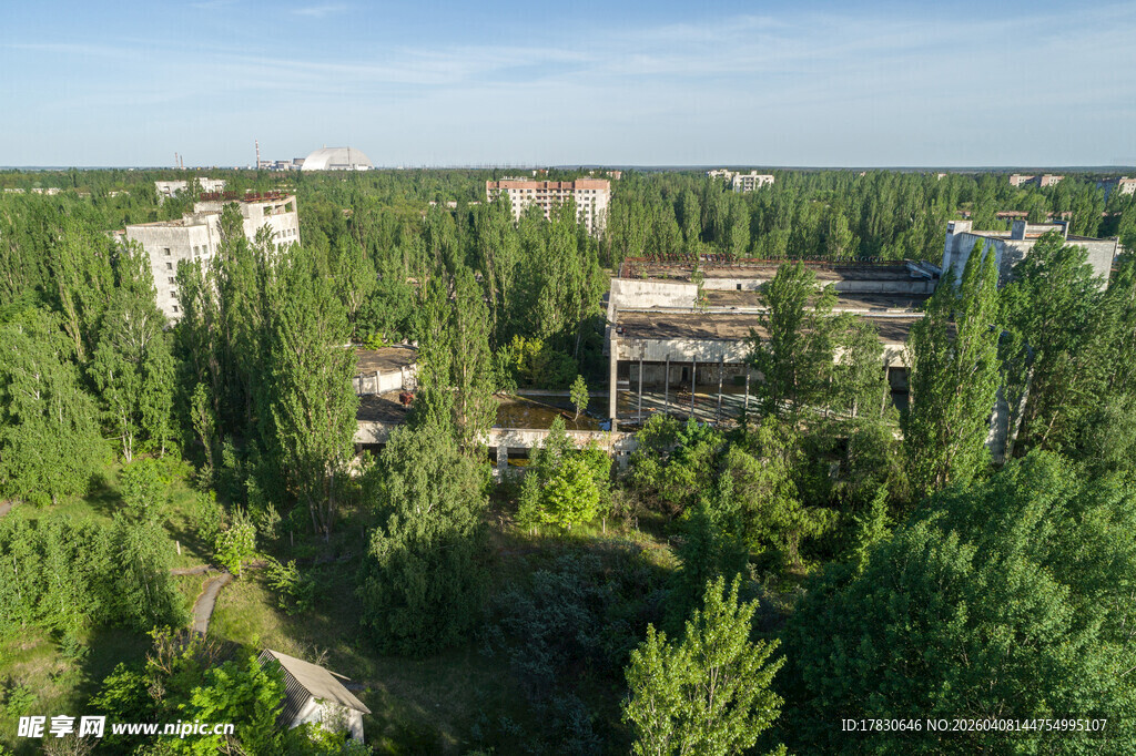 绿树环绕中的建筑景观