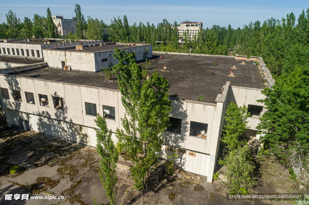 废弃工厂被绿树环绕