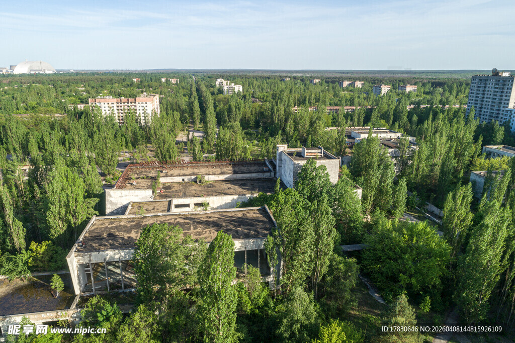 绿树环绕的城镇景观