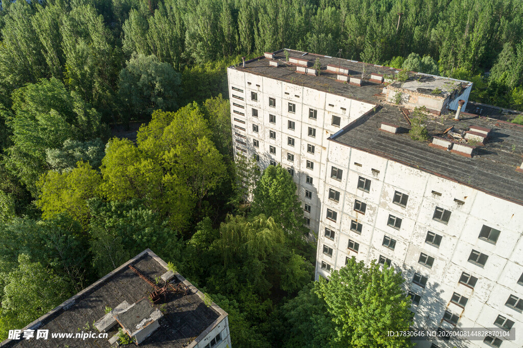 废弃楼房被森林环绕