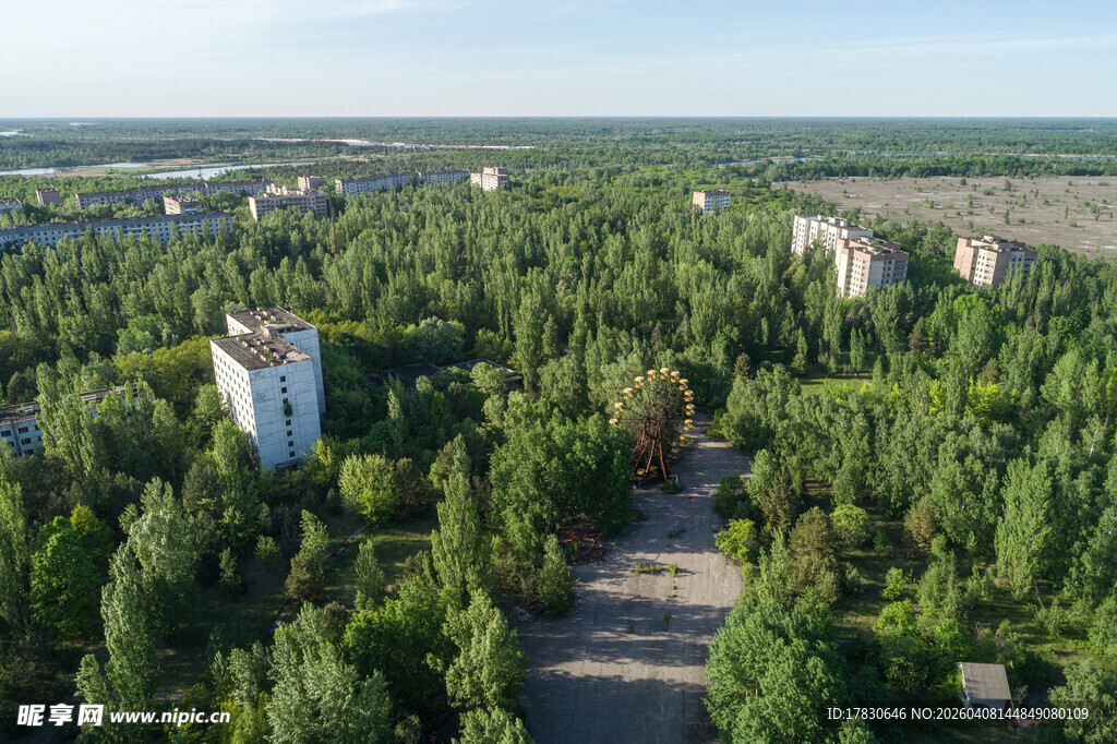 森林中的废弃建筑景观