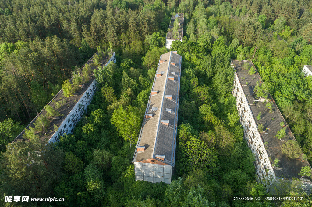 森林中的废弃建筑群