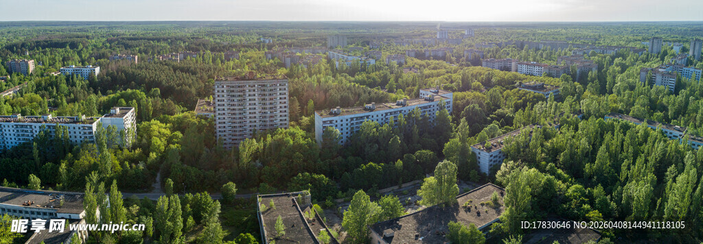 俯瞰绿树环绕的城市景观