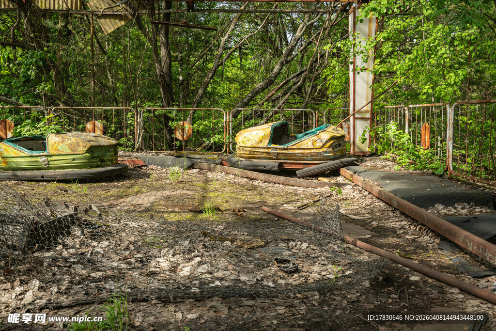 户外林间休闲座椅场景