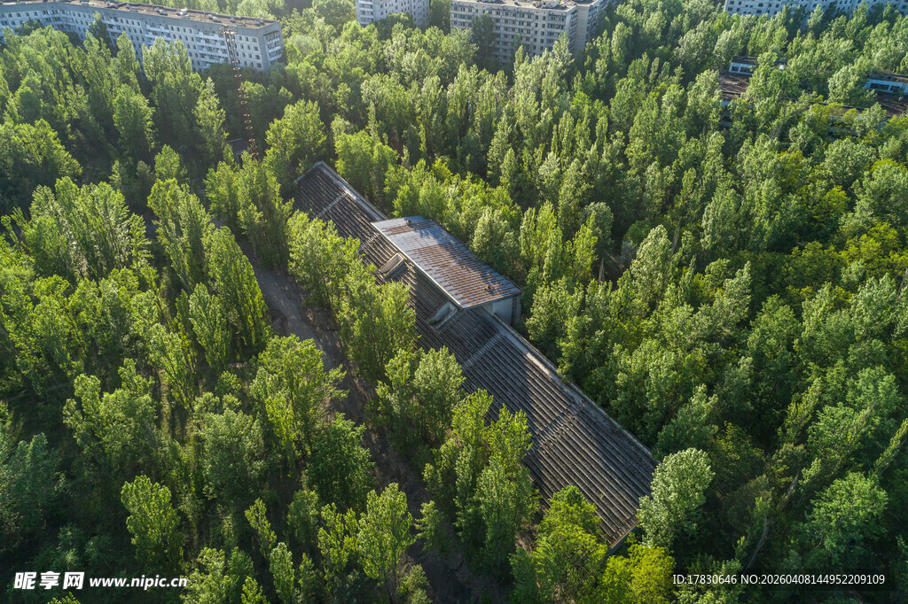 林间蜿蜒公路的鸟瞰景致