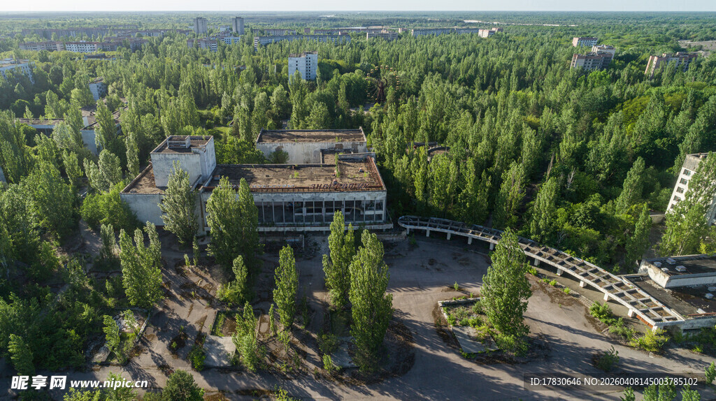 森林中的现代建筑景观