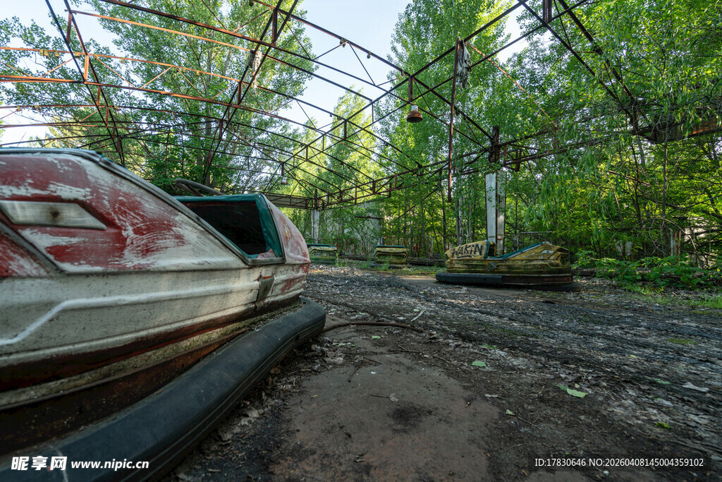 废弃汽车于繁茂树林中