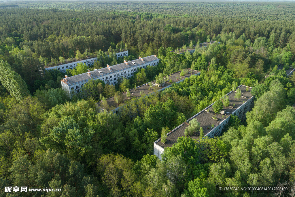 森林中的建筑群落