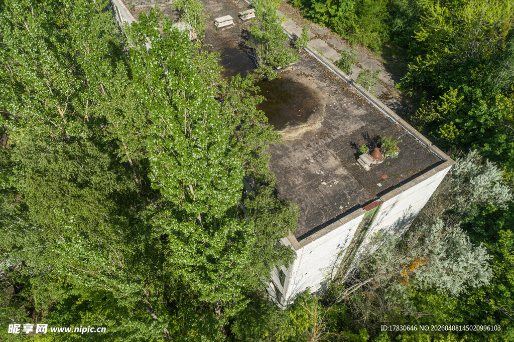 被绿植环绕的废弃房屋