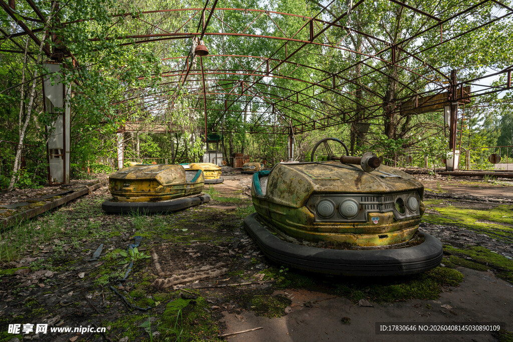 废弃林间的老旧碰碰车