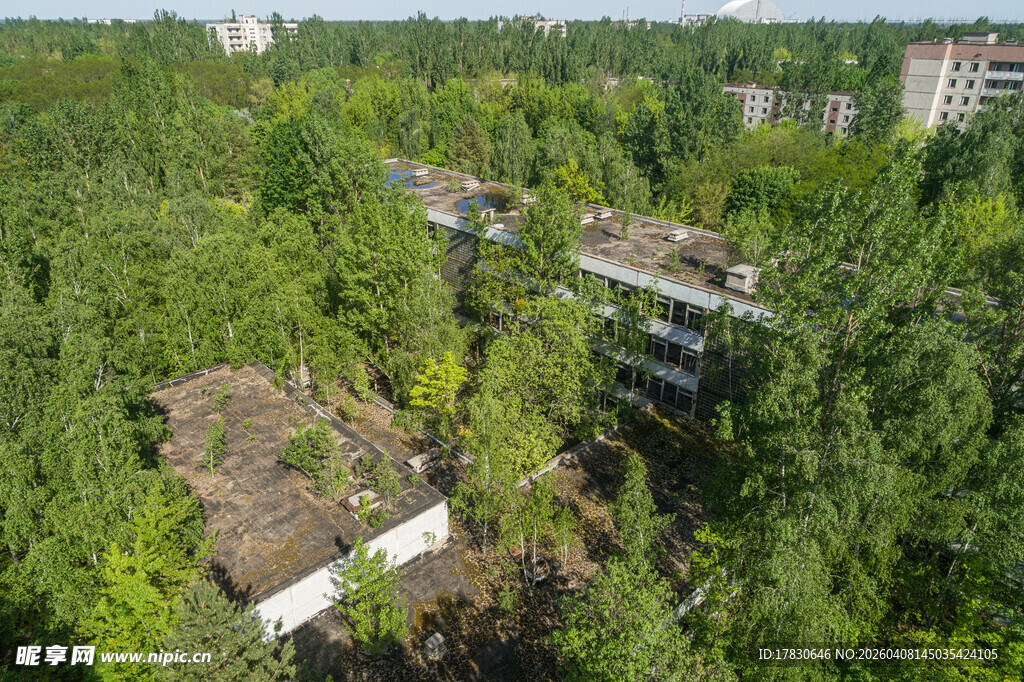 被植被覆盖的废弃建筑群