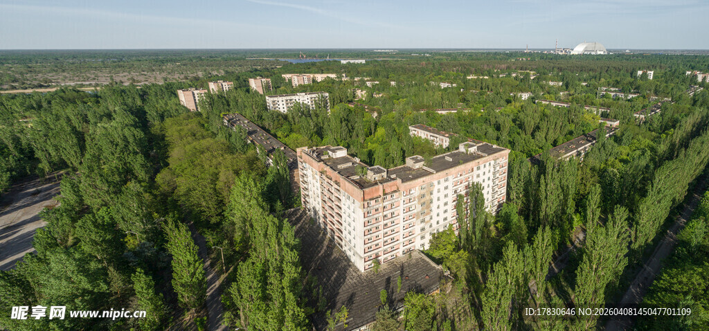 森林中的废弃建筑