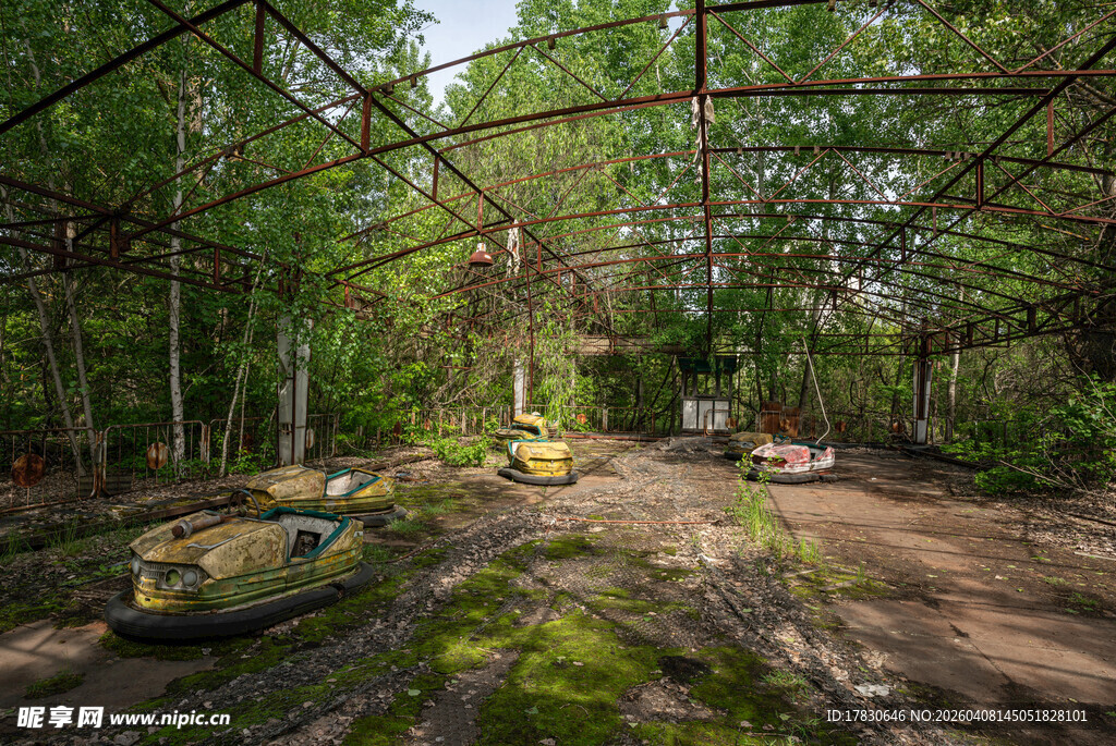 林间户外露营场景